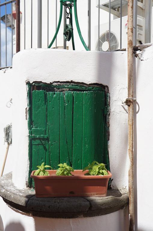 Ring Hostel Forio di Ischia الغرفة الصورة