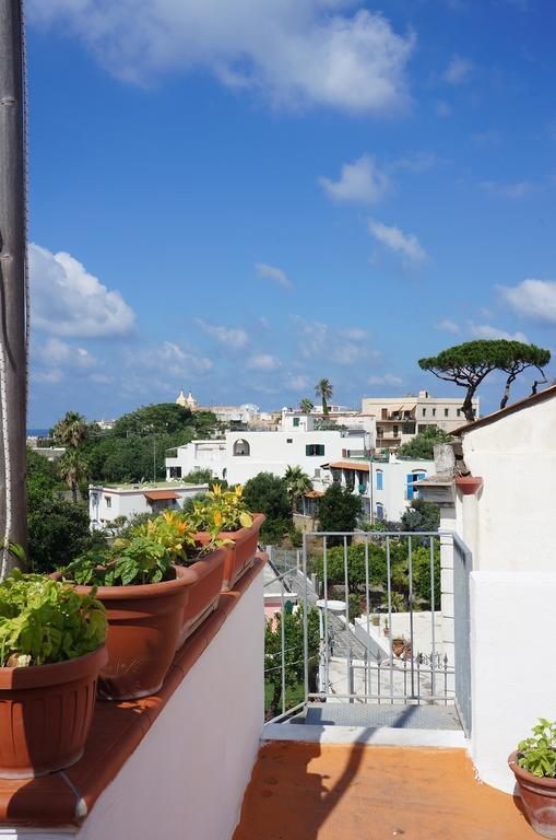 Ring Hostel Forio di Ischia المظهر الخارجي الصورة