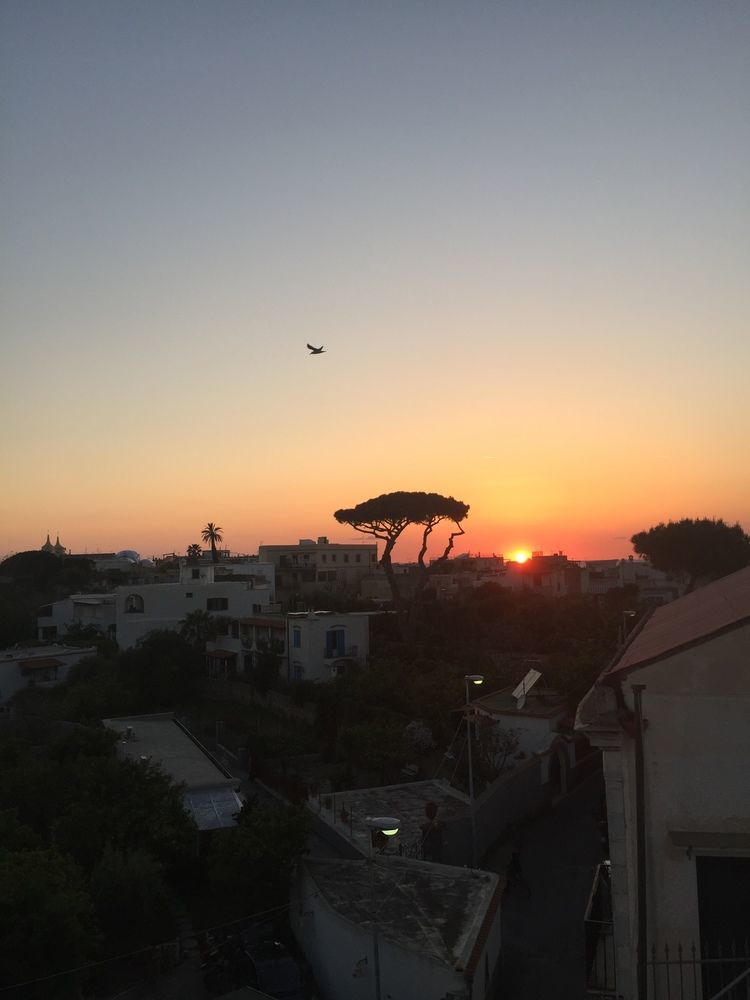 Ring Hostel Forio di Ischia المظهر الخارجي الصورة